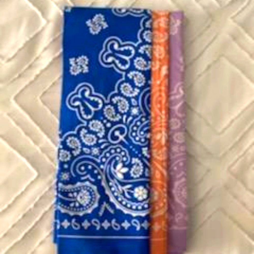 3 pack ivy Park bananas